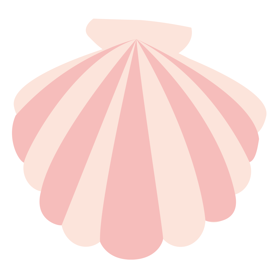 ピンク色の貝殻
