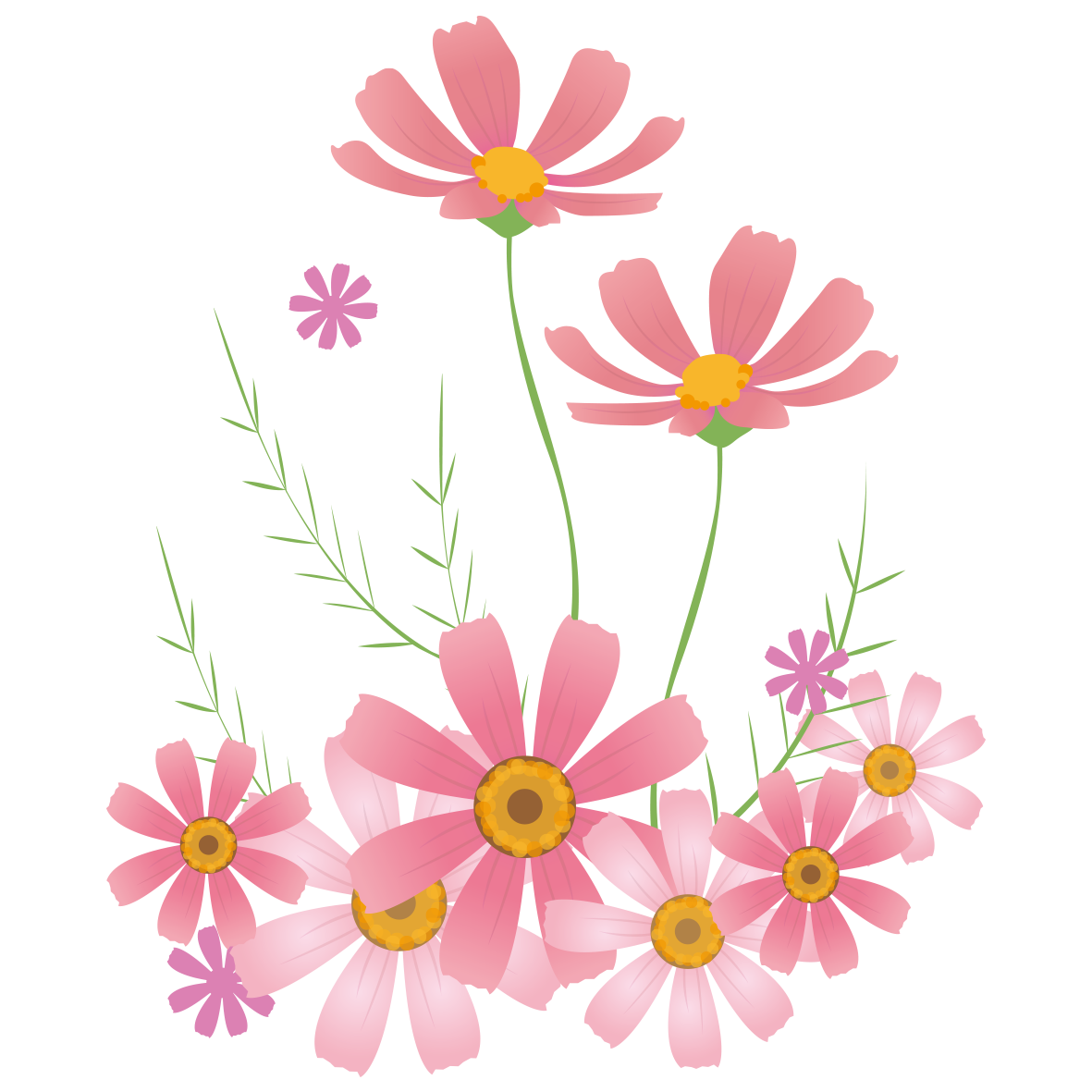 ベスト50 かわいい イラスト コスモス 美しい花の画像