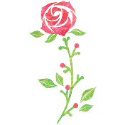 一輪の赤いバラの花 無料イラスト イラストareira