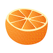 オレンジ のイラスト一覧 無料イラスト イラストareira